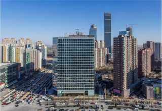 温州瓷胶背胶批发