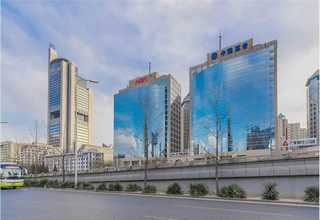 辽宁纯手工宠物磨牙零食诚信合作