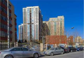 山东肉圆厂家供应