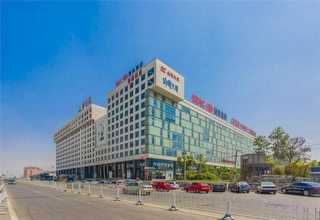 吉林高效网带速冻机